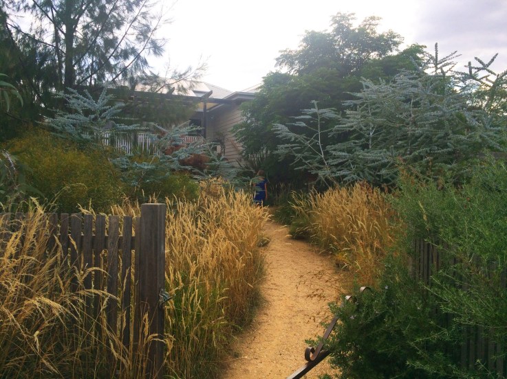 Woodland&amp;garden-path